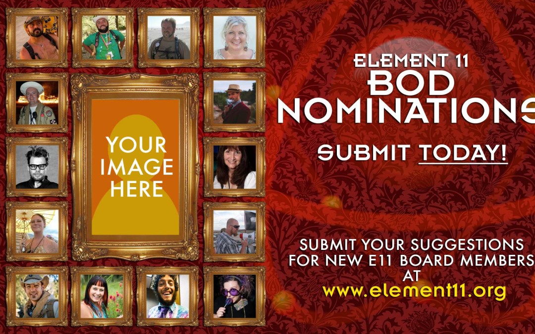 2015 Element 11 BOD Nominations